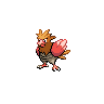 spearow